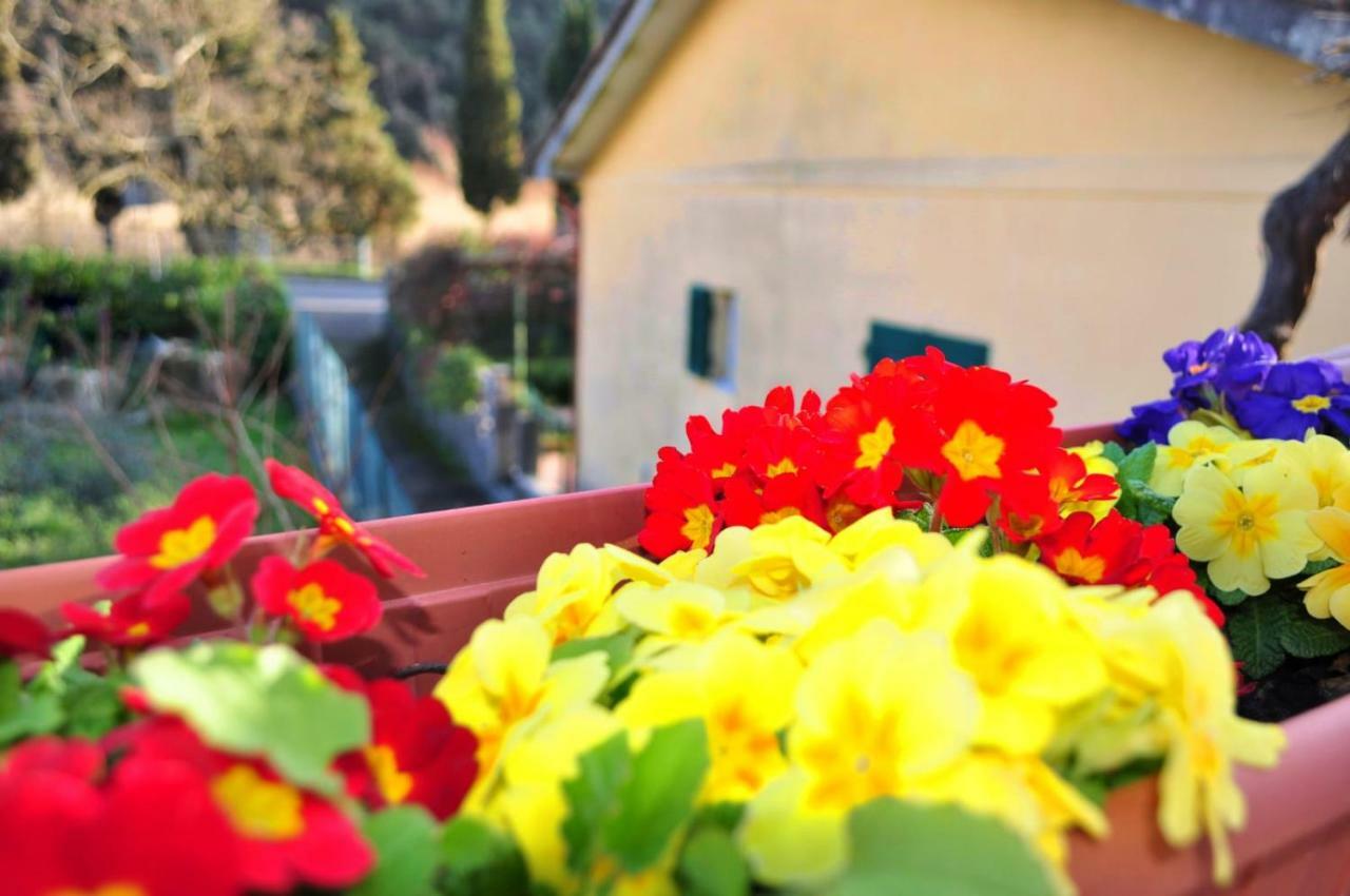 Come A Casa Deiva Marina Exteriér fotografie